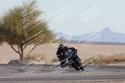 media/Nov-30-2025-TrackXperience (Sun) [[c0061d280f]]/2-Level 2/Session 6 Turn 4 Tree of Life/